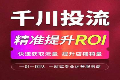 SEO与SEM融合策略：成功案例解析